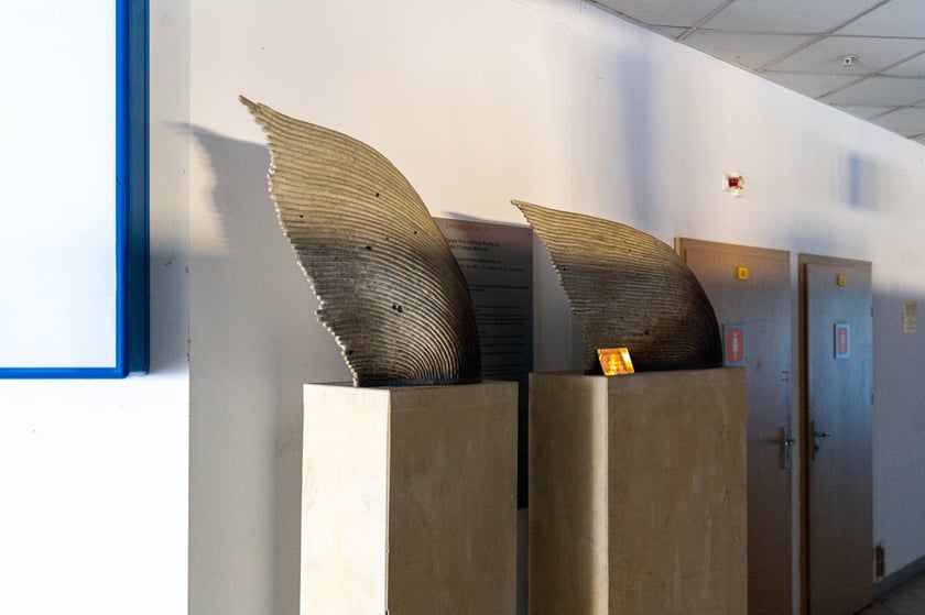 Stary port lotniczy na Strachowicach, rok 2024