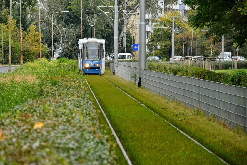 W barwach MPK Wrocław wciąż jeździ około 80 Konstali serii 105 (105Na, 105NWr i 105 NWrAs) wyprodukowanych w latach 1975-1991.