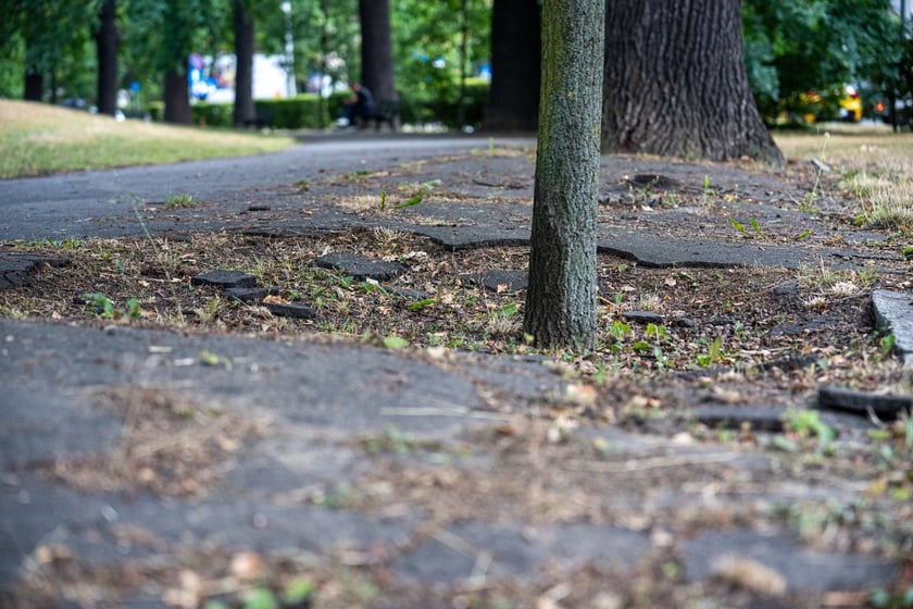 Remont pl. Powstańców Śląskich - miasto szuka projektanta