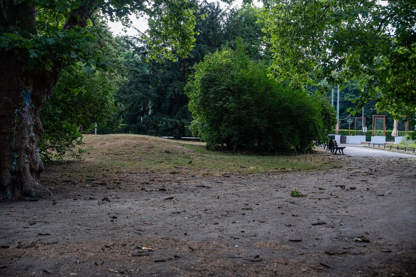 Remont pl. Powstańców Śląskich - miasto szuka projektanta