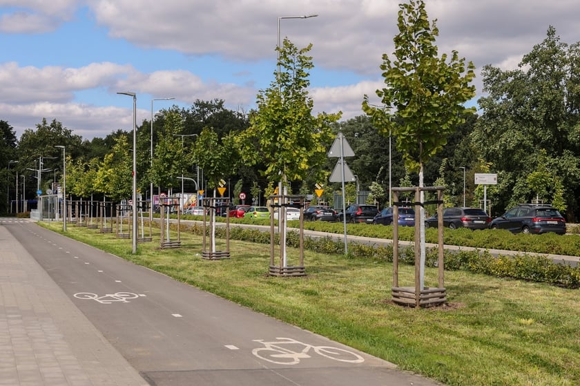 Nową drogę rowerową, która powstała w ramach budowy Alei Wielkiej Wyspy, oddano do użytku w 2024 r.