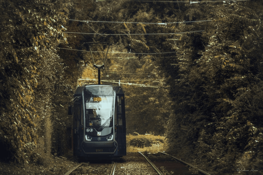 Zdjęcie laureata konkursu MPK na zdjęcie do kalendarza na rok 2025