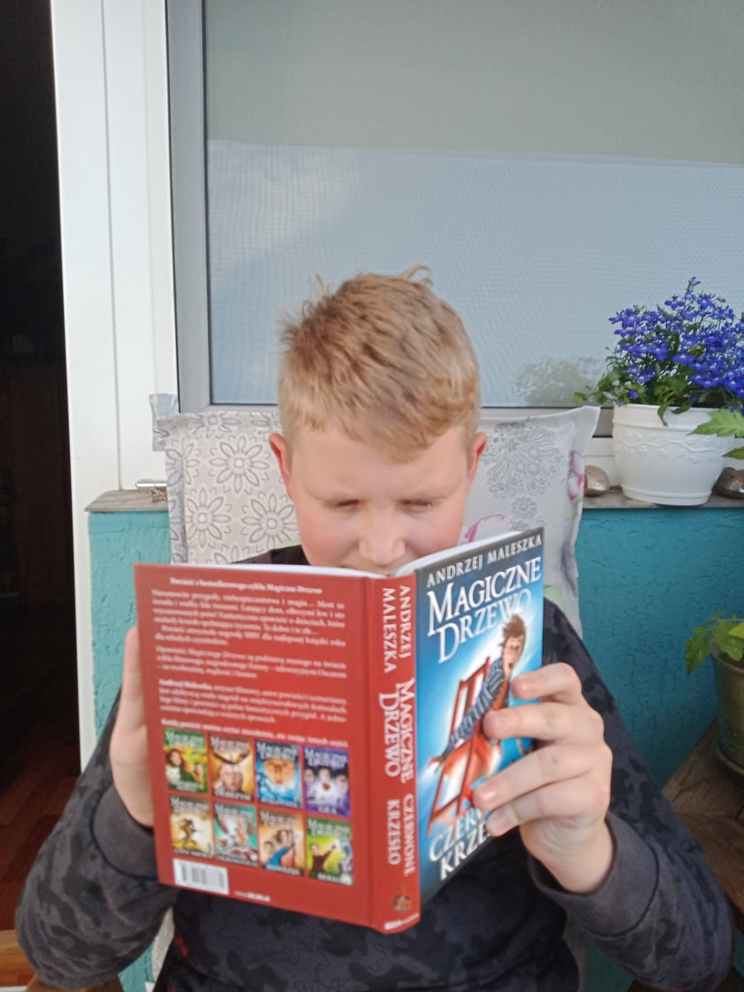 Seria "Magiczne drzewo" cieszy się popularnością wśród dzieci i młodzieży