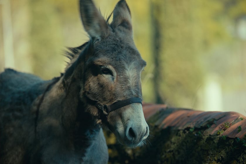 Na zdjęciu scena z filmu &bdquo;IO&rdquo; Jerzego Skolimowskiego