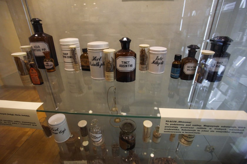 Noc Muzeów w Muzeum Farmacji