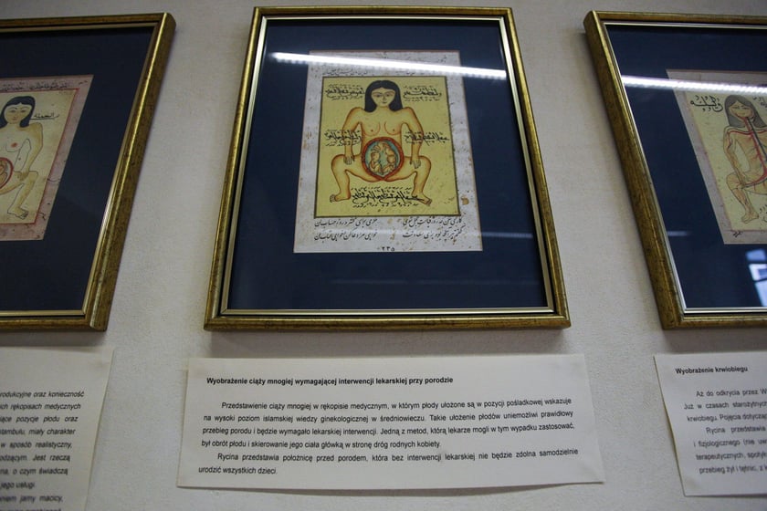 Noc Muzeów w Muzeum Farmacji