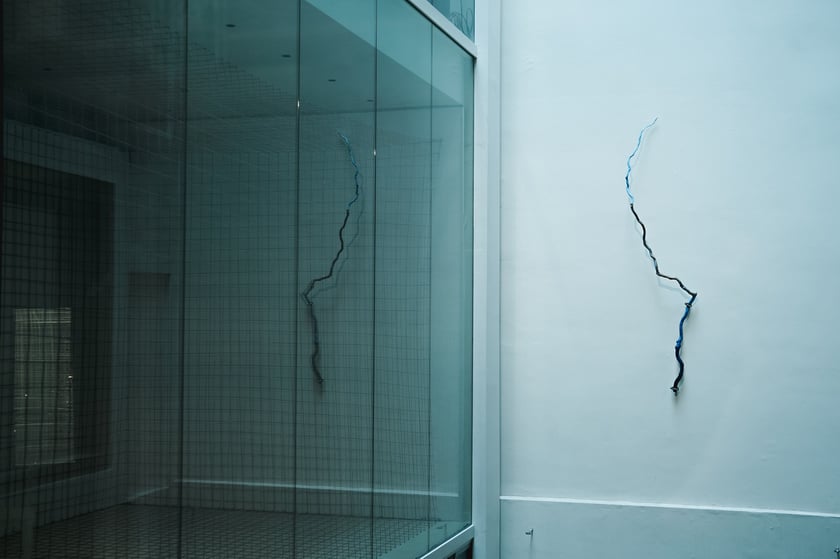 Aneta Lewandowska, &bdquo;Jaka pie?kna katastrofa" II edycja OP_YOUNG