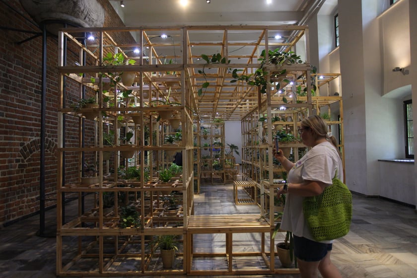 Kwiaty na wystawie w Muzeum Architektury