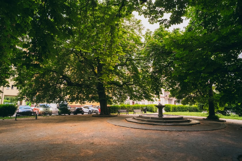 Park Goethego