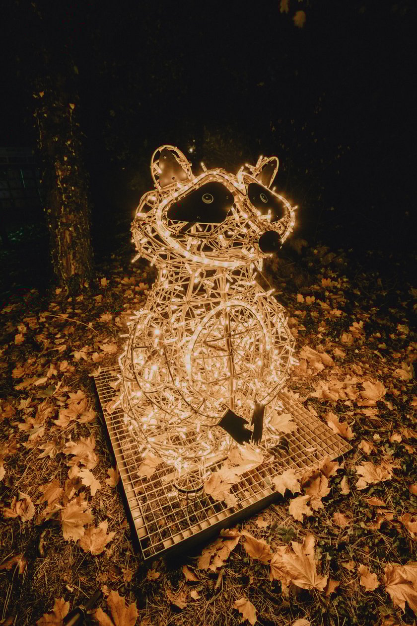 Bajkowy świat czeka na dzieci i dorosłych w Zamku Topacz pod Wrocławiem. Lumina Park zaprasza pod koniec października
