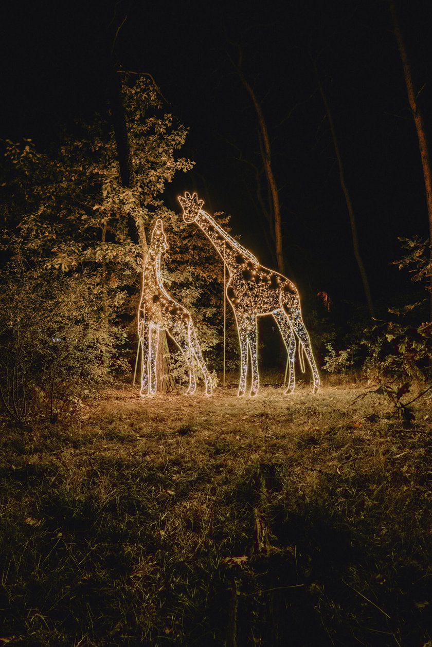 Bajkowy świat czeka na dzieci i dorosłych w Zamku Topacz pod Wrocławiem. Lumina Park zaprasza pod koniec października
