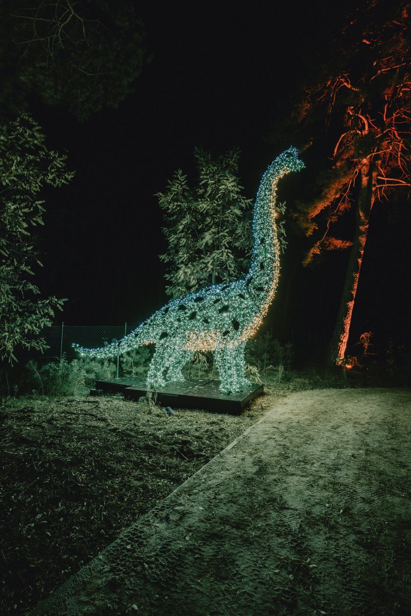 Bajkowy świat czeka na dzieci i dorosłych w Zamku Topacz pod Wrocławiem. Lumina Park zaprasza pod koniec października