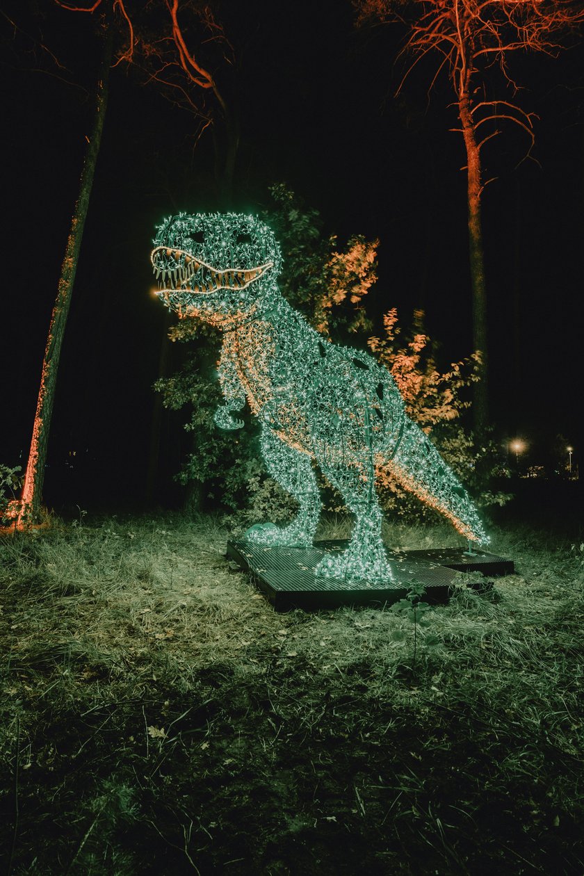 Bajkowy świat czeka na dzieci i dorosłych w Zamku Topacz pod Wrocławiem. Lumina Park zaprasza pod koniec października