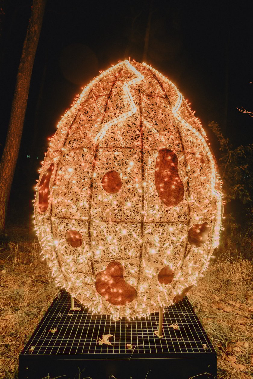 Bajkowy świat czeka na dzieci i dorosłych w Zamku Topacz pod Wrocławiem. Lumina Park zaprasza pod koniec października