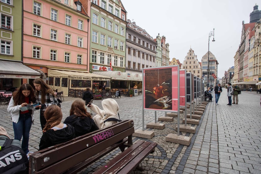 Wystawa „Plakat do filmu – Film na plakacie" na wrocławskim rynku