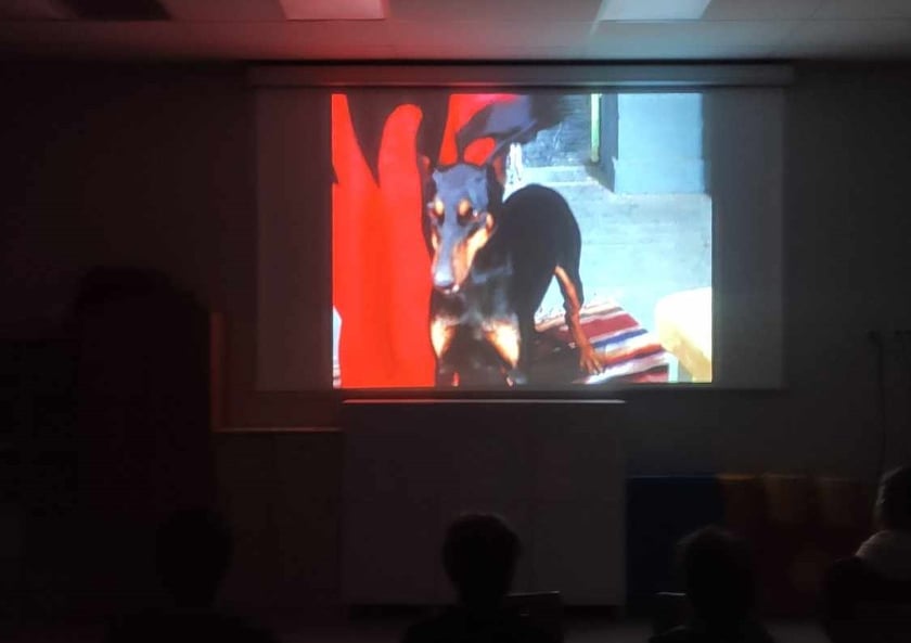 Seans z cyklu&nbsp;Napisy Końcowe Horror Show