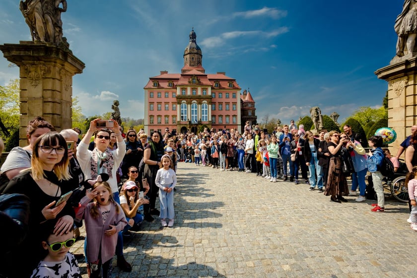 Festiwal Kwiat&oacute;w i Sztuki w Zamku Książ od 1 do 5 maja 2024