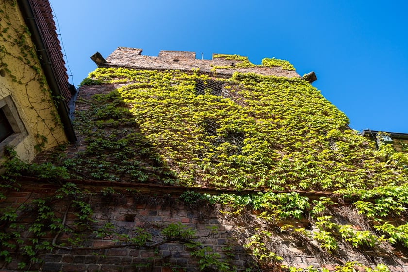 Dziedziniec Arsenału Miejskiego