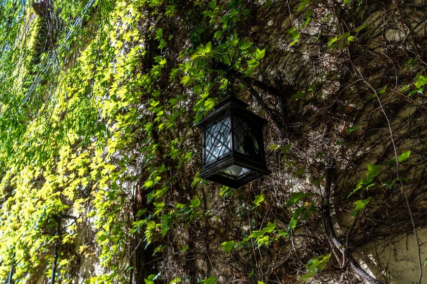 Dziedziniec Arsenału Miejskiego