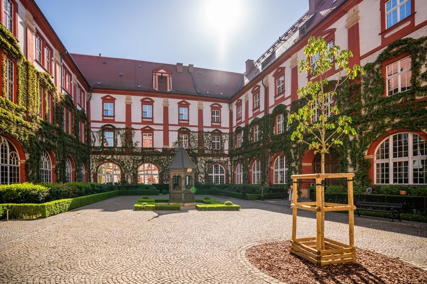 Wirydarz Zakładu Narodowego im. Ossolińskich