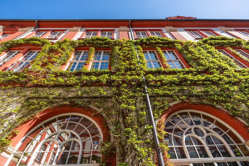 Wirydarz Zakładu Narodowego im. Ossolińskich