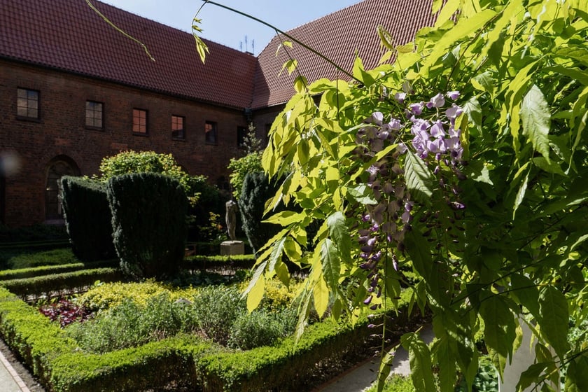 Wirydarz Muzeum Architektury