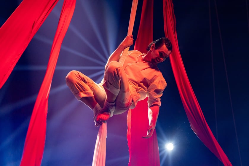 Wielkie show w Hali stulecia. Koncert "Gwiazdozbiór Aniołów. In varietae concordia".