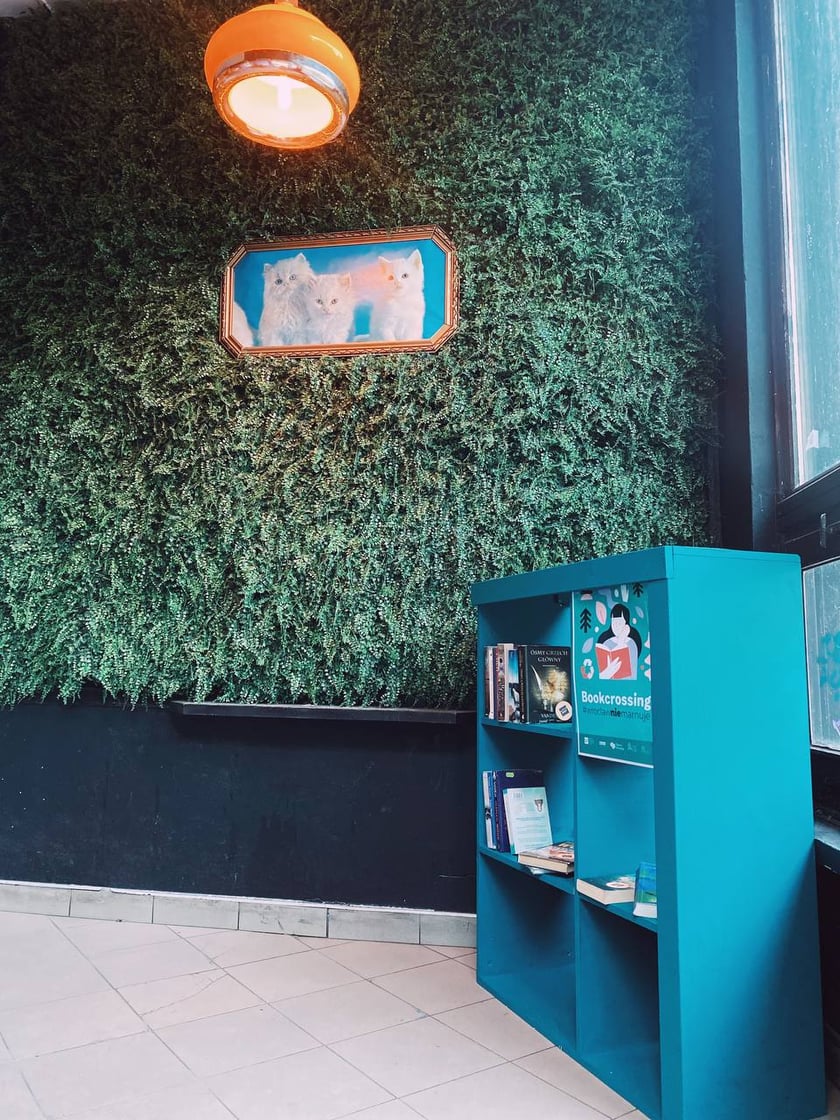 Punkt bookcrossingowy w beach barze na Tamce
