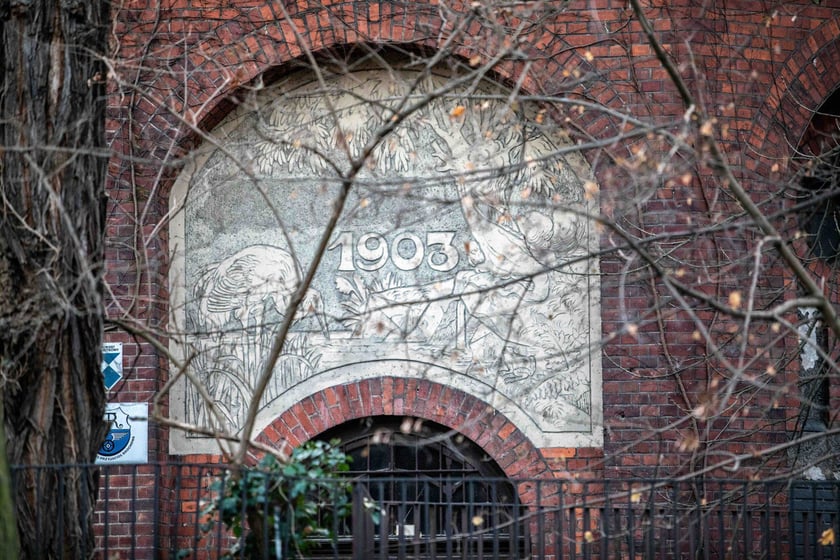 Przestrzenie (Brochów) Survivalu 2024