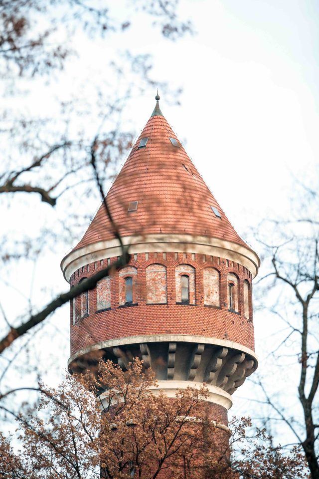 Przestrzenie (Brochów) Survivalu 2024