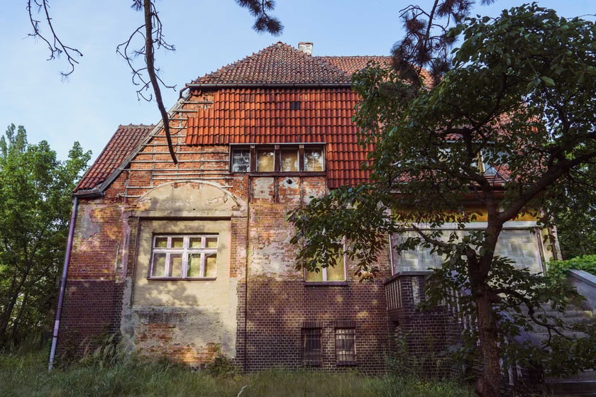 Survival 2024 i Brochów