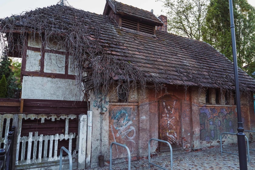 Survival 2024 i Brochów