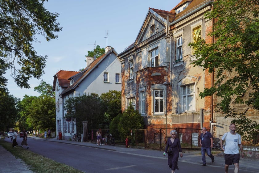 Survival 2024 i Brochów