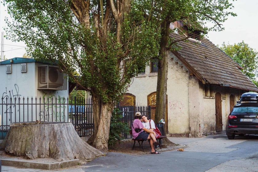 Survival 2024 i Brochów