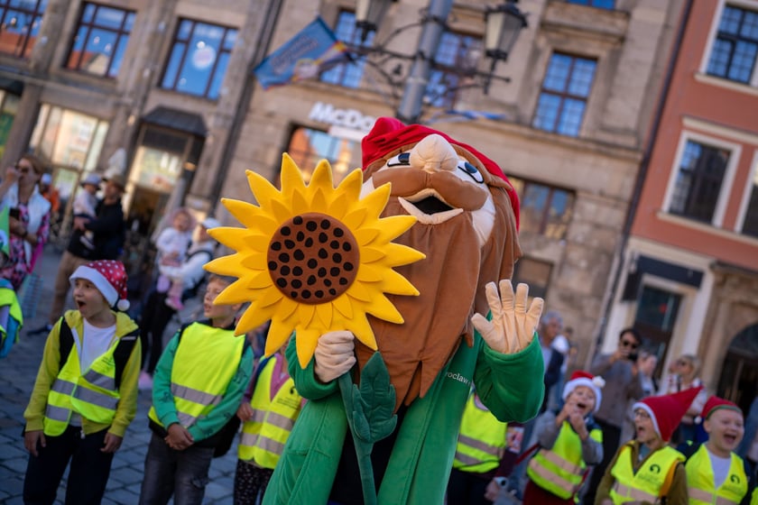 Parada na Wrocławskim Festiwalu Krasnoludków 2024