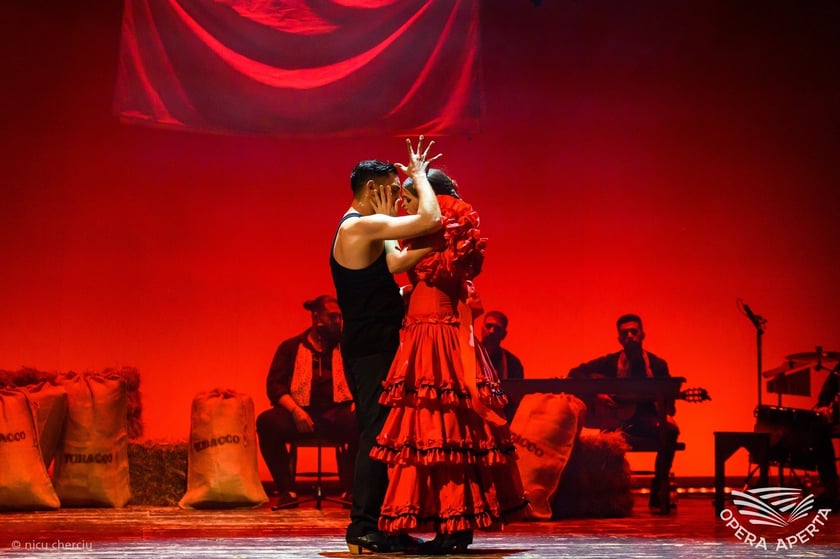 Barcelona Flamenco Ballet, Carmen