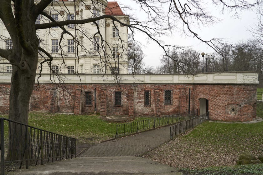 Zamek w Leśnicy