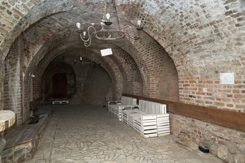 Zamek w Leśnicy