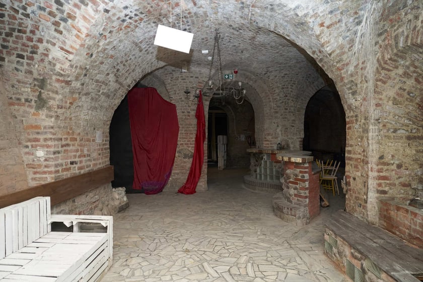 Zamek w Leśnicy