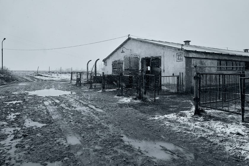 Zdjęcia z planu filmu "Każda z nas", z Diane Kruger - produkacja powstaje pod Wrocławiem