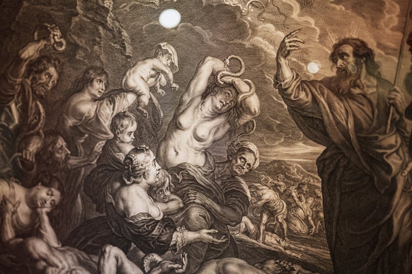 Wystawę &bdquo;Rubens na Śląsku&rdquo; obejrzymy od 31 maja do 30 listopada w Muzeum Narodowym we Wrocławiu