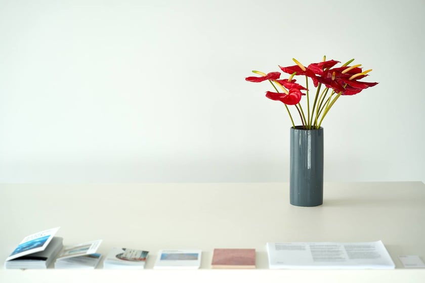 Showroom Krupa Gallery