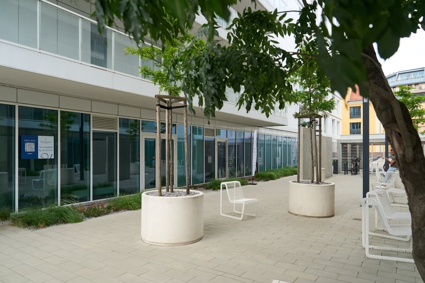 Krupa Gallery mieści się przy ul. księcia Witolda 48/70, na 8 pietrze