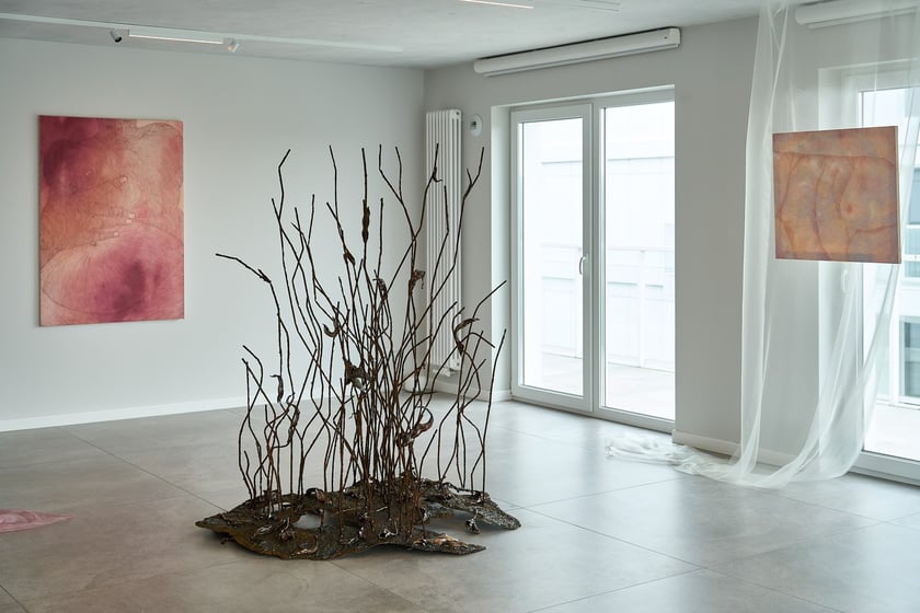 Wystawa Anny Marii Zuzeli