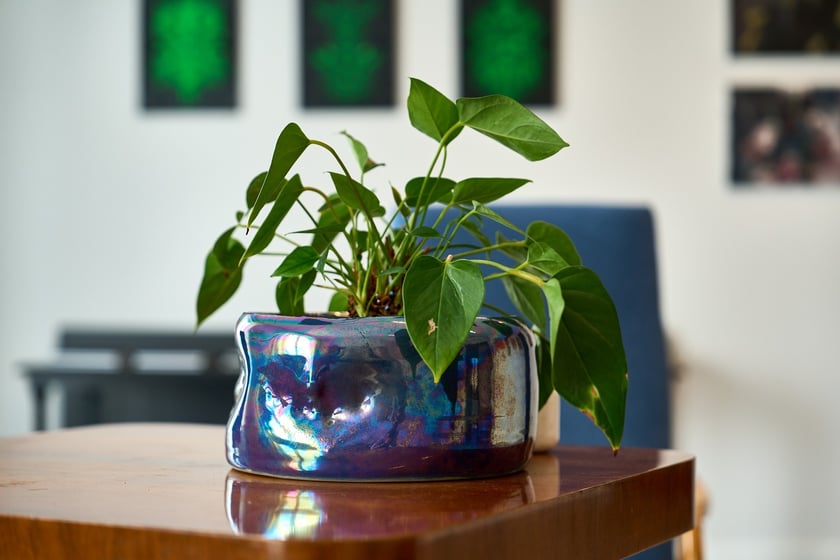 Showroom Krupa Gallery