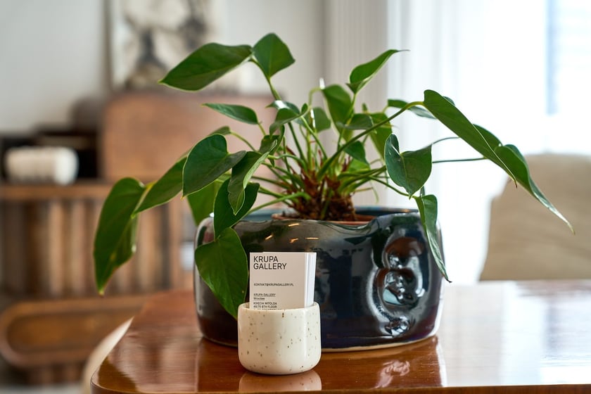 Showroom Krupa Gallery