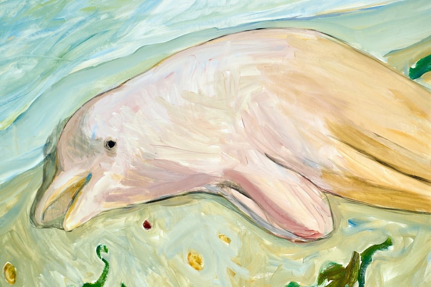 Showroom Krupa Gallery