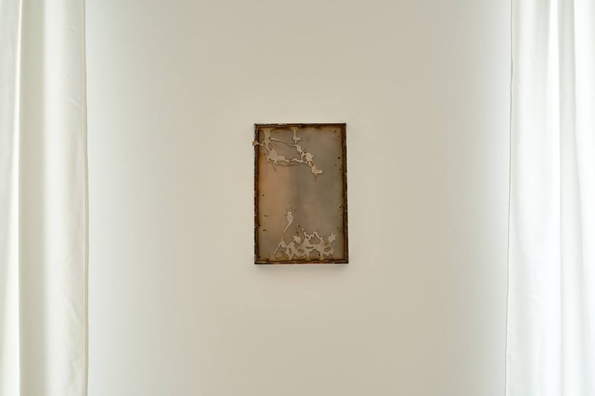 Showroom Krupa Gallery