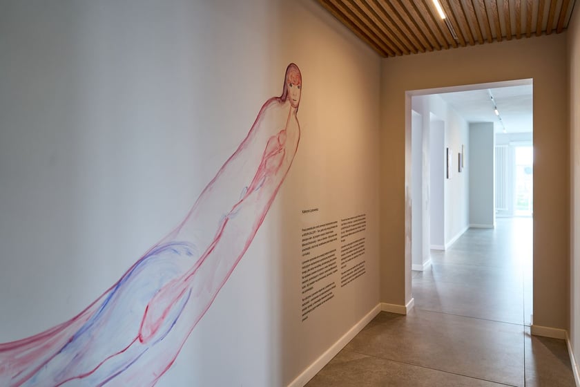 Showroom Krupa Gallery