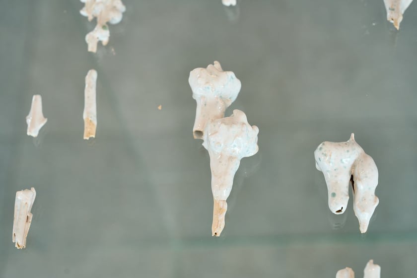 Wystawa Anny Marii Zuzeli